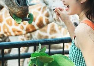 快来下载655.fun，正在热销的吃瓜秘笈，羞羞的事情都能看到哦