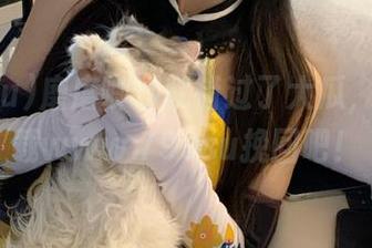 磨磨唧唧就错过了大瓜，赶紧下载www.799su挽回吧！