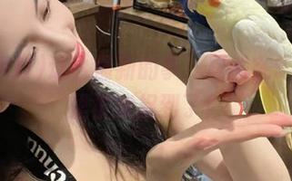 这么最新的事，居然在91黑料里被我捉到了！