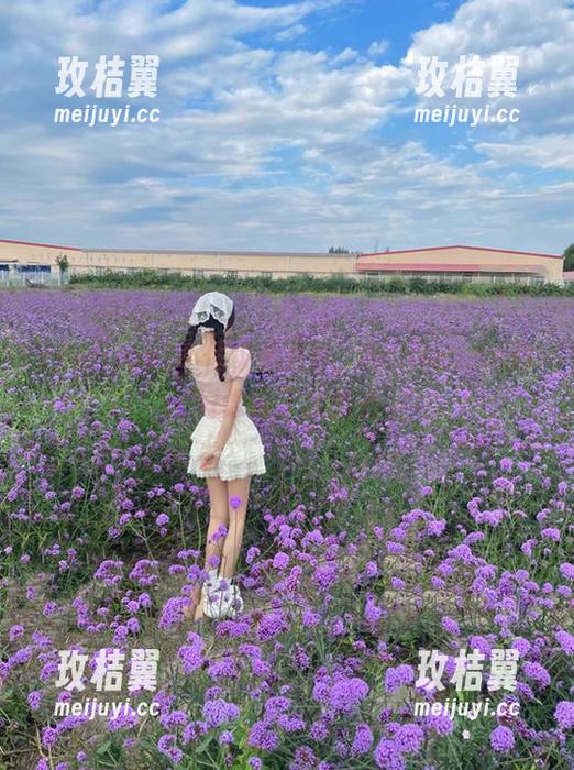 不仅仅是八卦，heiliao.su你好像偷了我的心-玫桔翼