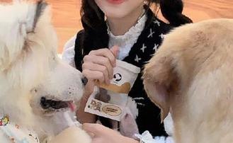 今日吃瓜91：总有一天，玩偶会变成你永久的倾诉对象，怪不得我这么依赖。