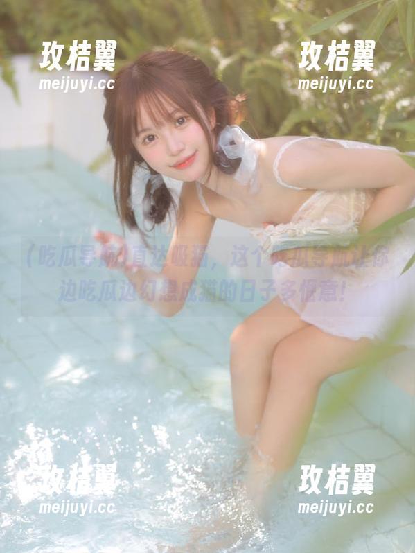 直达吸猫,这个吃瓜导航让你边吃瓜边幻想成猫的日子多惬意!-玫桔翼 直达吸猫,这个吃瓜导航让你边吃瓜边幻想成猫的日子多惬意!-玫桔翼