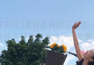 黑料吃料网苹果版：好想把这些八卦放进我的小本本里…