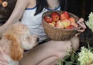 别担心，黑料正能量官网领你走出迷雾，轻松不迷路！